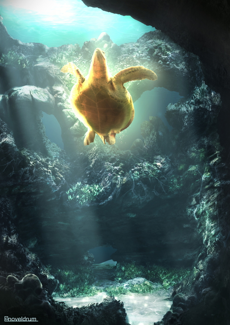 フォトバッシュ